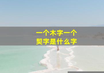 一个木字一个契字是什么字