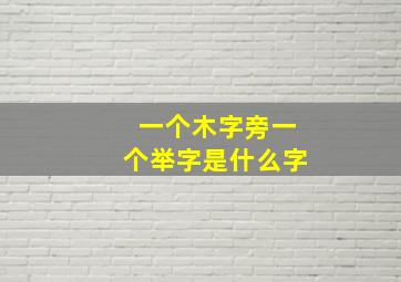 一个木字旁一个举字是什么字