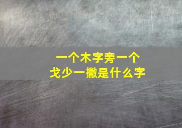 一个木字旁一个戈少一撇是什么字