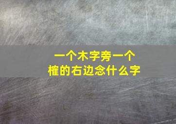 一个木字旁一个榷的右边念什么字