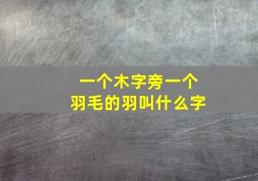 一个木字旁一个羽毛的羽叫什么字