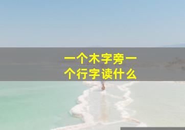 一个木字旁一个行字读什么