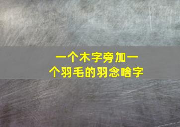 一个木字旁加一个羽毛的羽念啥字