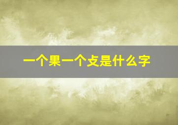 一个果一个攴是什么字