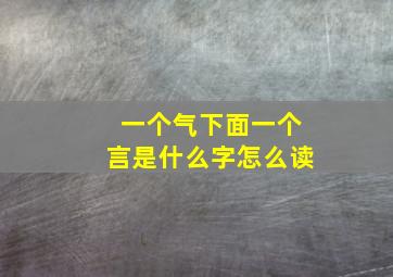 一个气下面一个言是什么字怎么读