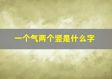 一个气两个竖是什么字