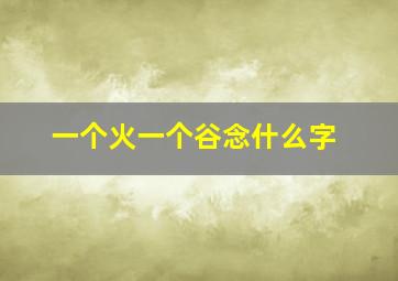 一个火一个谷念什么字