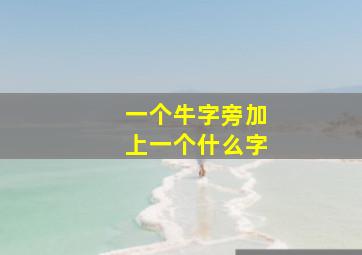 一个牛字旁加上一个什么字