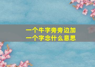 一个牛字旁旁边加一个字念什么意思