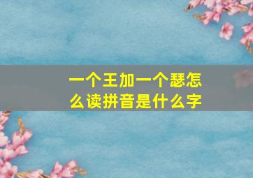 一个王加一个瑟怎么读拼音是什么字