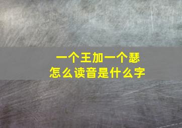 一个王加一个瑟怎么读音是什么字