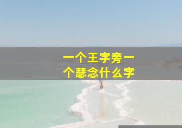 一个王字旁一个瑟念什么字