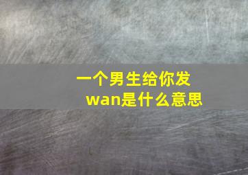 一个男生给你发wan是什么意思