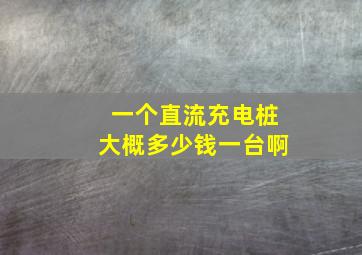 一个直流充电桩大概多少钱一台啊