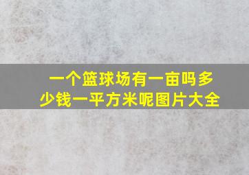 一个篮球场有一亩吗多少钱一平方米呢图片大全