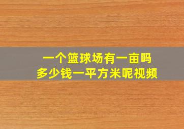 一个篮球场有一亩吗多少钱一平方米呢视频