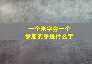 一个米字旁一个参加的参是什么字