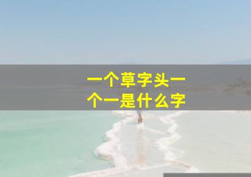 一个草字头一个一是什么字