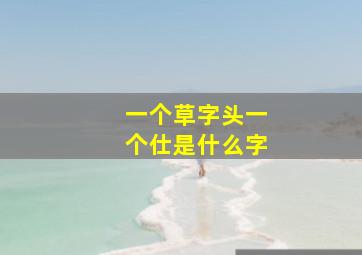 一个草字头一个仕是什么字