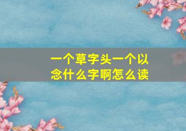 一个草字头一个以念什么字啊怎么读