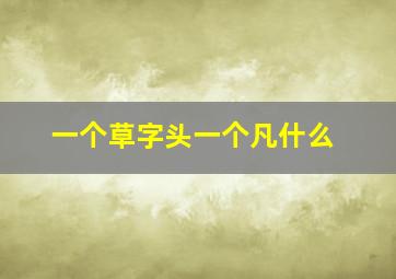 一个草字头一个凡什么