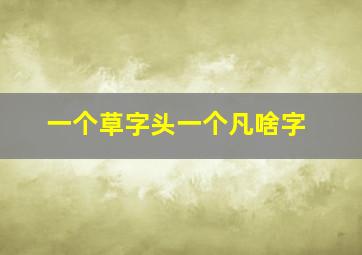 一个草字头一个凡啥字