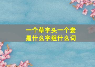 一个草字头一个妻是什么字组什么词