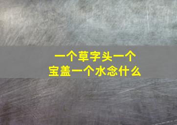 一个草字头一个宝盖一个水念什么