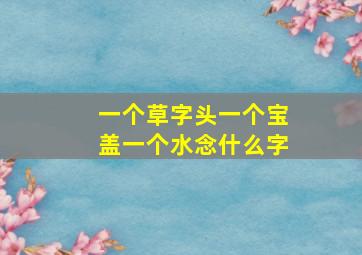 一个草字头一个宝盖一个水念什么字