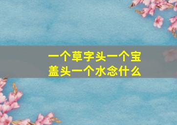 一个草字头一个宝盖头一个水念什么