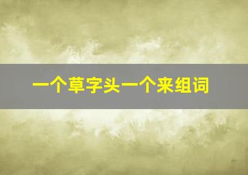 一个草字头一个来组词