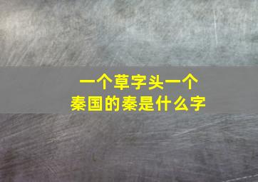 一个草字头一个秦国的秦是什么字