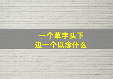 一个草字头下边一个以念什么