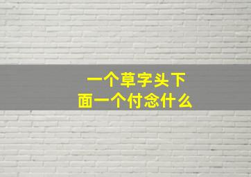 一个草字头下面一个付念什么