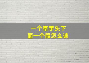 一个草字头下面一个叚怎么读