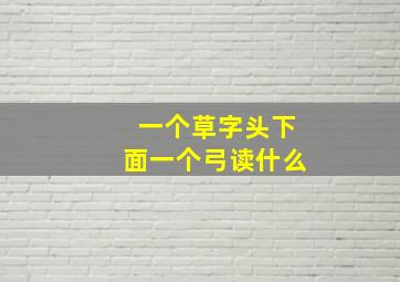 一个草字头下面一个弓读什么