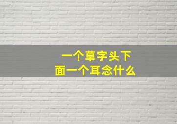 一个草字头下面一个耳念什么