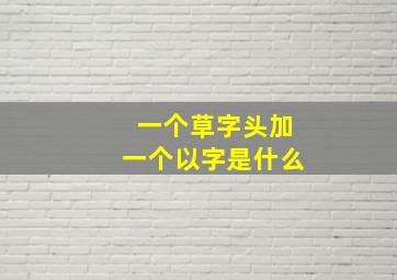 一个草字头加一个以字是什么