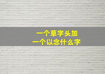 一个草字头加一个以念什么字