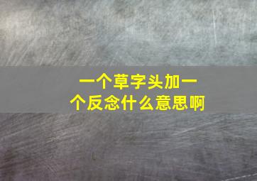 一个草字头加一个反念什么意思啊