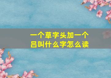 一个草字头加一个吕叫什么字怎么读