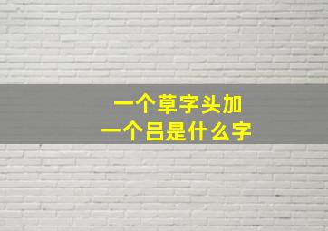 一个草字头加一个吕是什么字