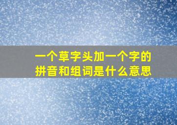 一个草字头加一个字的拼音和组词是什么意思