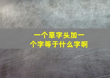 一个草字头加一个字等于什么字啊