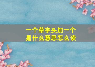 一个草字头加一个是什么意思怎么读