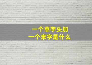 一个草字头加一个来字是什么