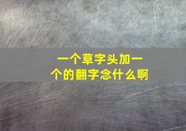 一个草字头加一个的翻字念什么啊