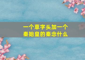 一个草字头加一个秦始皇的秦念什么