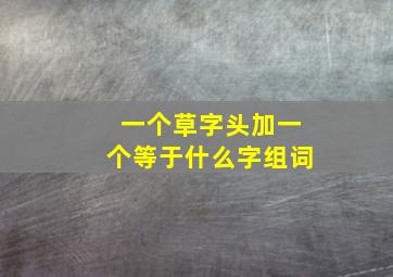 一个草字头加一个等于什么字组词