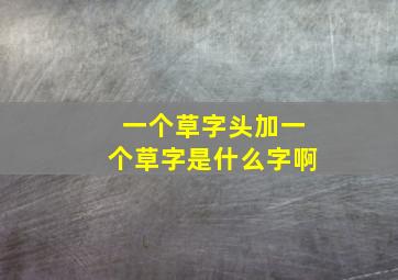 一个草字头加一个草字是什么字啊